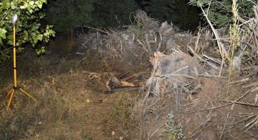 Kivégezte anyósa élettársát egy tiszakécskei férfi, az erdőben rejtette el a holttestet – videók