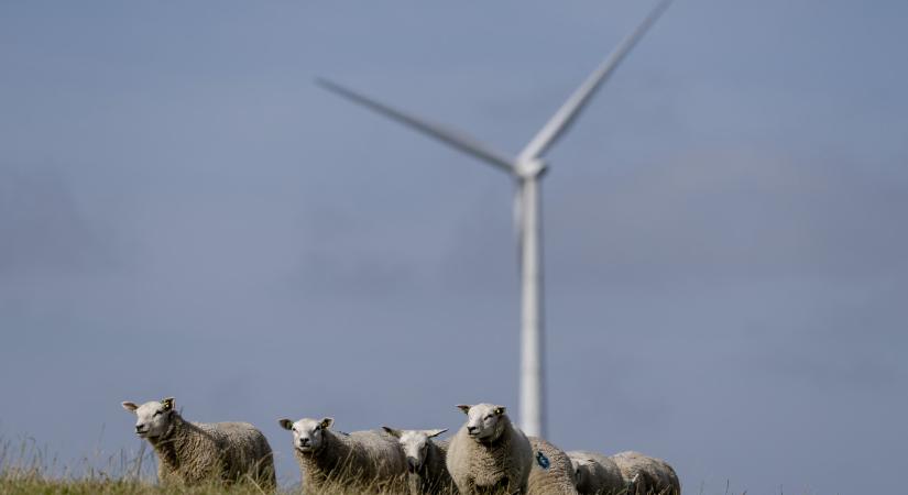 Az Egyesült Államok közel egymilliárd dollárt fizet egy francia energiacégnek, hogy ne építsen szélerőműveket