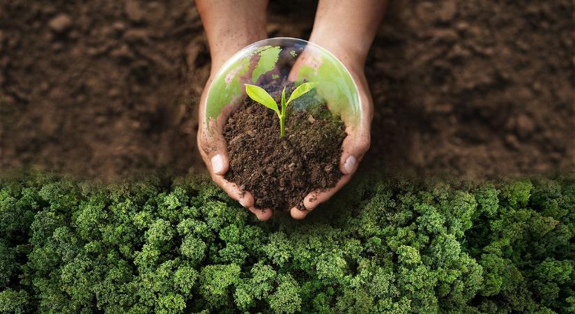 Elég a világvégéből! Itt vannak az év legfontosabb és legjobb környezeti hírei