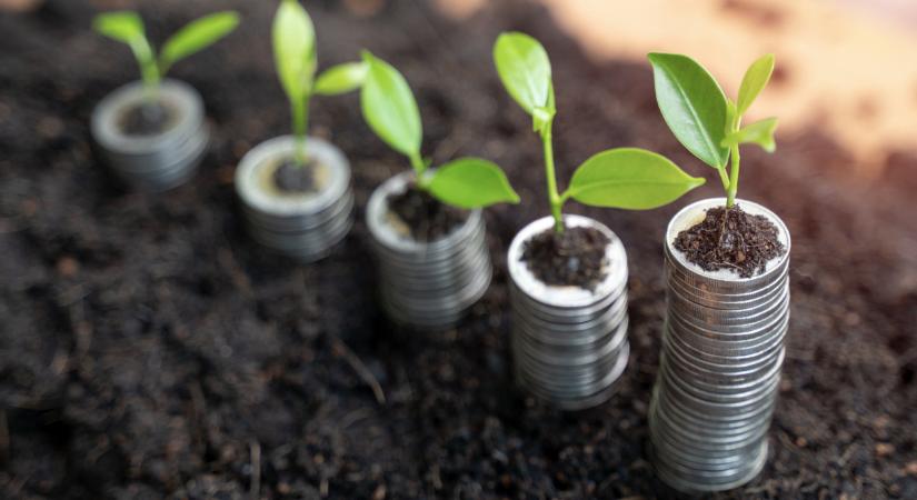 Megéri átgondolni az agrárbiztosítást: nagyot nyerhet, aki erre költ