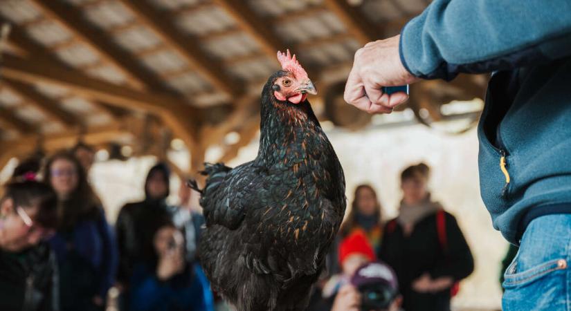 A művésznő maga alá csinált, és ettől mindenki elalélt: különleges színészotthonban jártunk