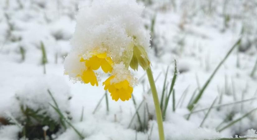 Nyugatra visszakacsint a tél csütörtökön és pénteken