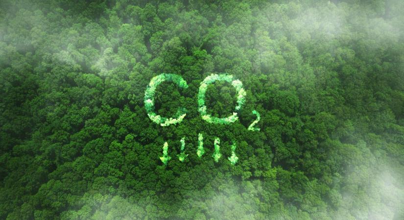 Rejtett szénraktárak Brazíliában: ezek a helyek kulcsszerepet játszanak a klímaváltozás lassításában