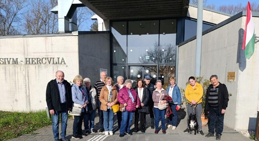 Kurátori tárlatvezetés nyugdíjasoknak