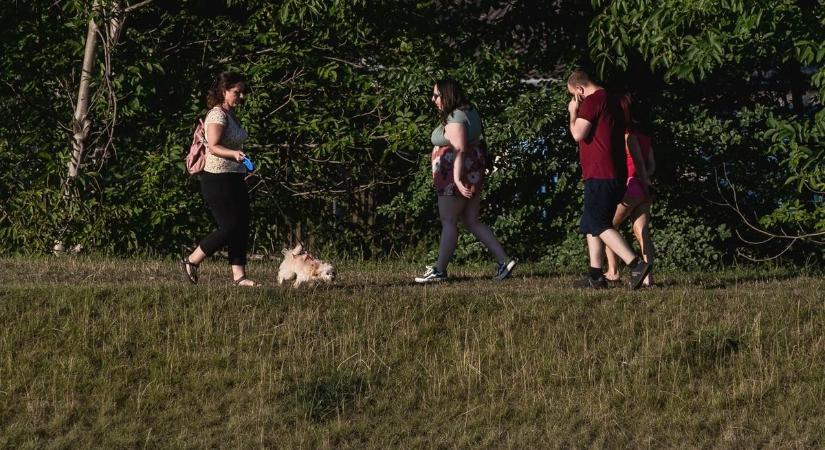 Több százezres nyereményeket sorsolnak ki a Vezér utcai víztározónál! Mutatjuk a részleteket
