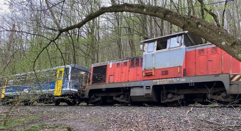 A menetrend tavaszi változásai közt a Bakony szerelmeseinek is van ajándék