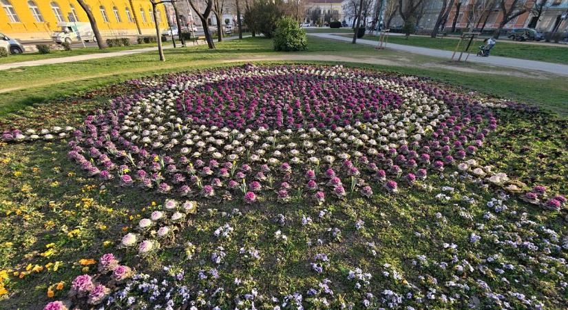 Csodás fotókon Székesfehérvár tavaszi arca (galéria)