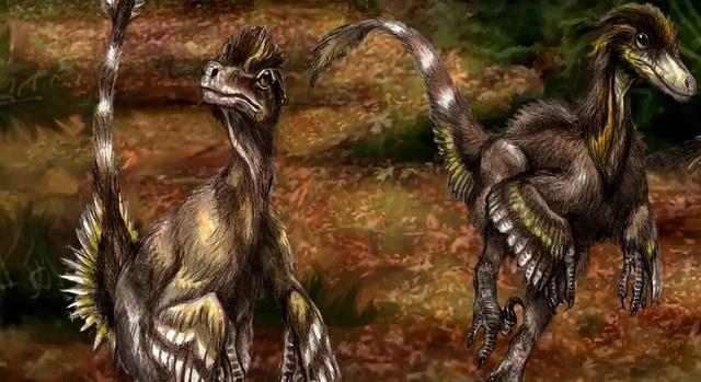 A magyar dinoszaurusz-kutatás történetéről nyílik kiállítás Békéscsabán