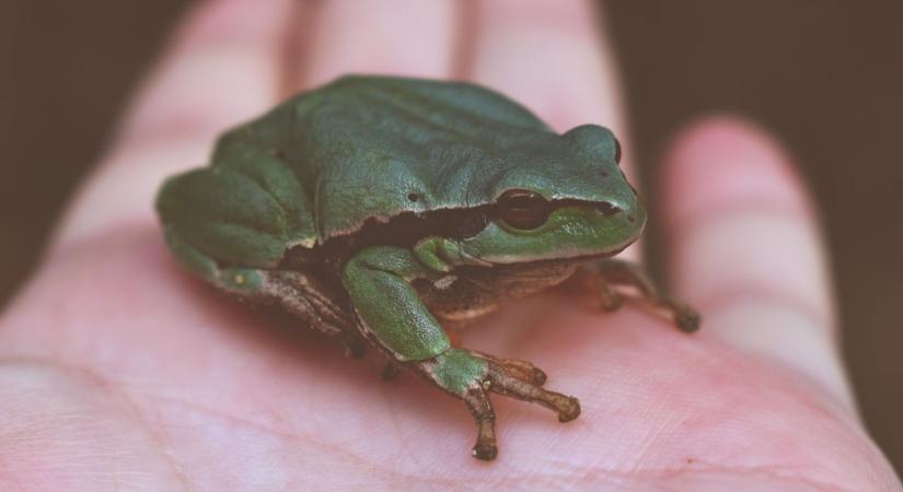 Neked is van vízóraaknád? Akkor most nagyon figyelj, meglepő dolgot találhatsz benne!
