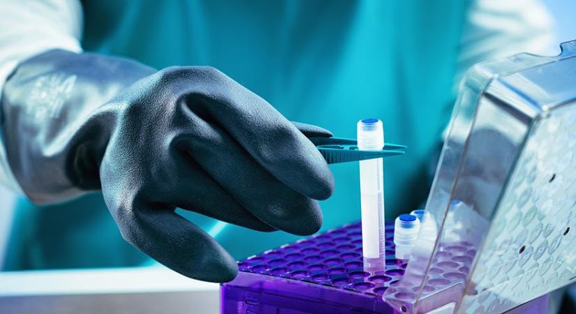 Együttműködés kötött a Richter és a Fuji