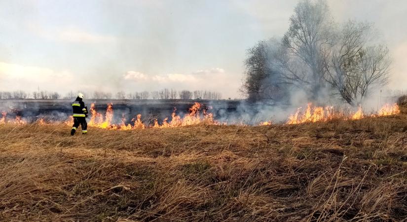 Lakóházakat veszélyeztet a hajdúszováti nádastűz
