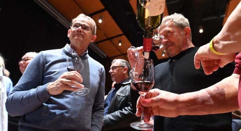 Csúcsborok csatája! Mutatjuk, kik uralták eddig a borvidéket