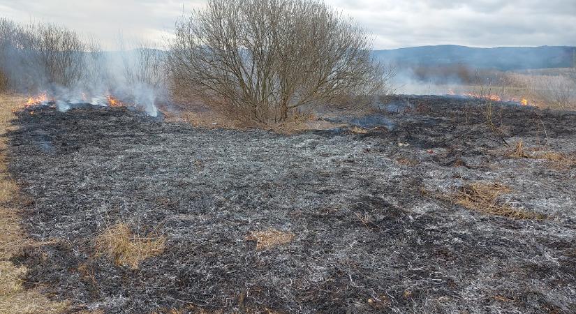 Figyelmeztetik a csíkszeredaiakat: a tarlóégetés többet árt, mint használ