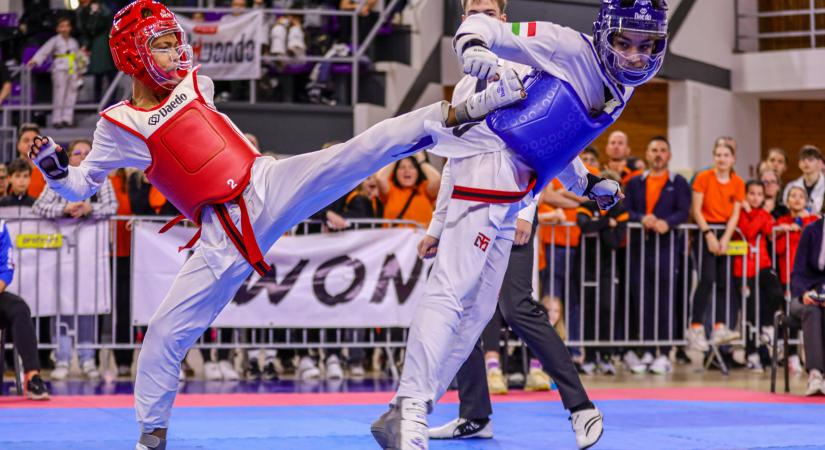 MÚEA Tehetségtámogató pályázat