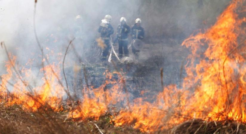 Hatalmas lángokkal ég a nádas Hajdú-Biharban, a tűz lakóházakat is veszélyeztet