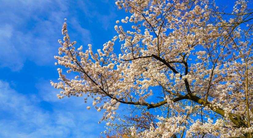 Kellemes idő vagy kellemetlen szél? Ez vár holnap