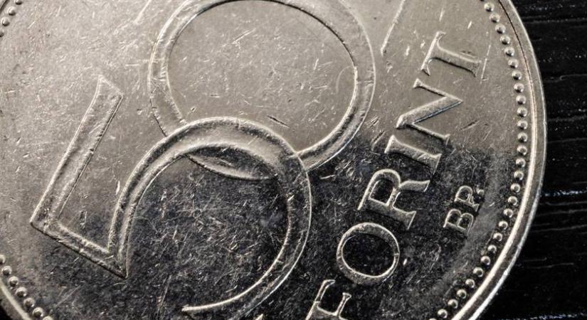 500 ezret érhet ez az 50 forintos: ezt a mintát keresd rajta