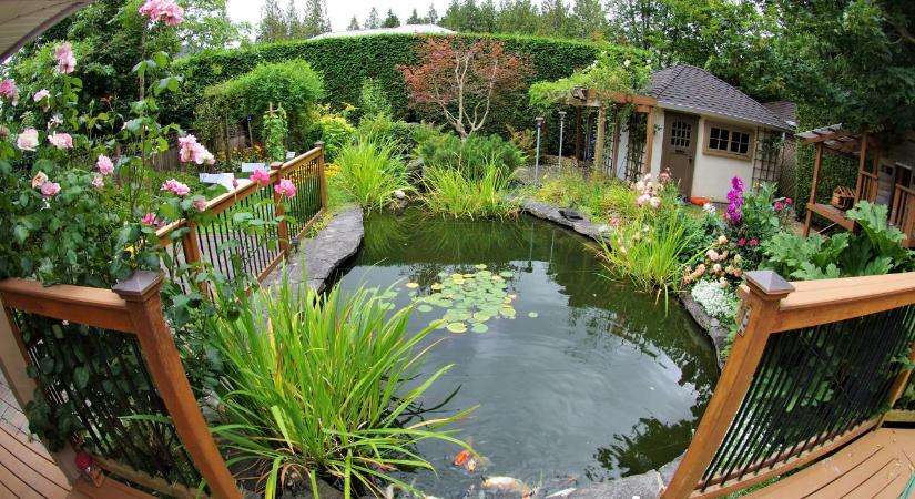 Kerti tó tisztítás tavasszal: mikor érdemes?