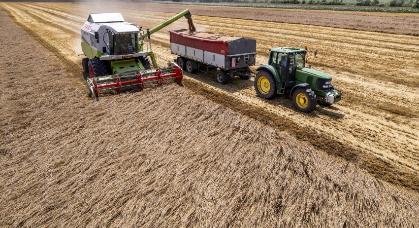 Sosem látott válsághelyzetben van a magyar mezőgazdaság
