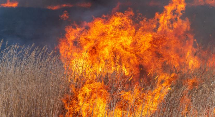 Brutális tűz tombol, 34 tűzoltó küzd a lángokkal – videó