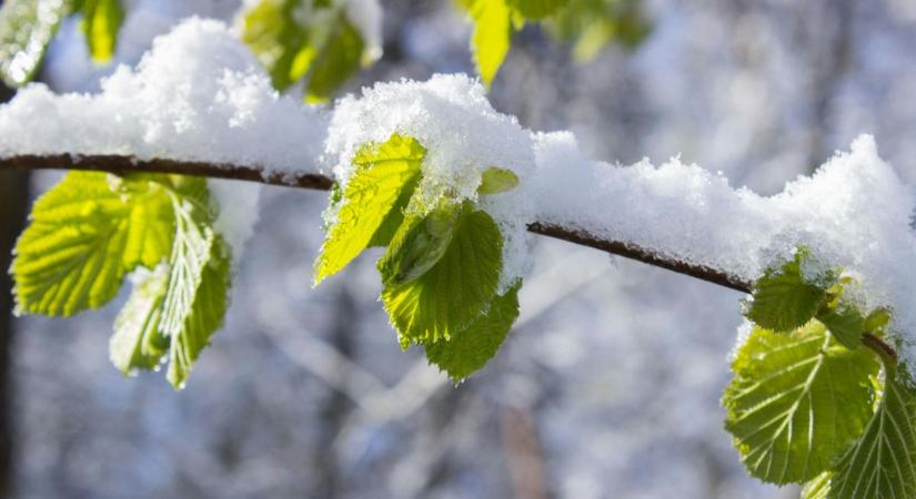 Megvan, mekkora havazás jöhet a héten: ezt mutatják az előrejelzések!