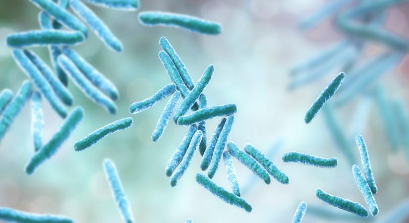 Európában is terjed az életveszélyes fertőzés – kezelés nélkül minden második beteg belehal