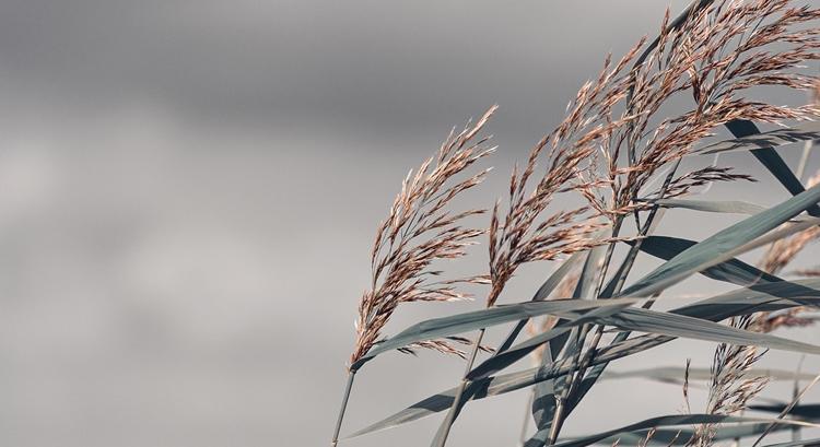 Csillagfényes éjszakából viharos szerda: készülj a változásra!