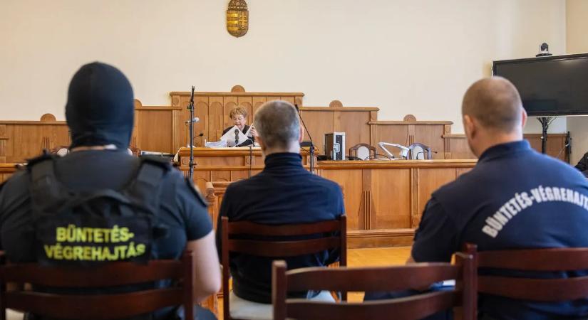 Kegyetlen gyilkosság: a diósjenői rém szexuálisan kihasználta, majd megölte szerelme lányait