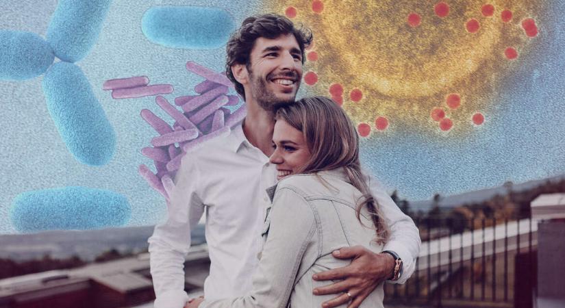 Közös autó, ház és mikrobiom – Egy párkapcsolatban a baktériumokon is osztozunk