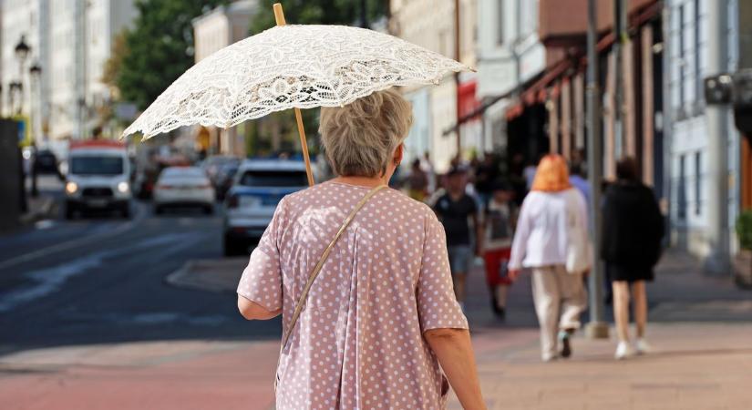 Kánikula és fagykár: ijesztő folyamatokra hívják fel a figyelmet Kecskeméten