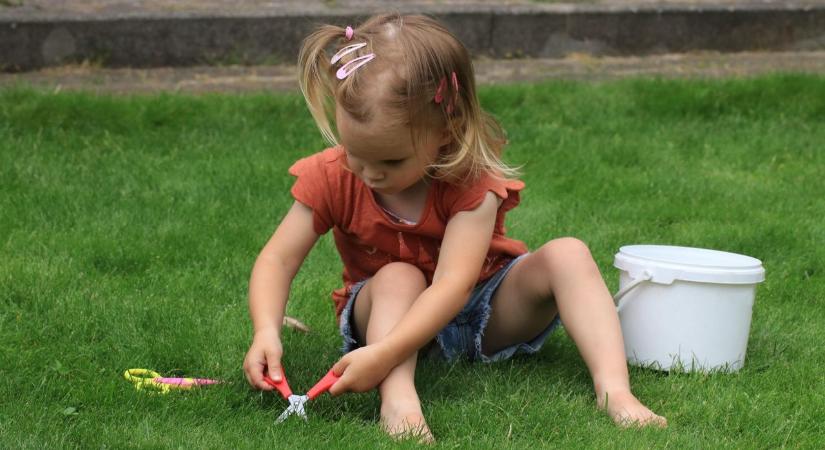Ezt hibázza el mindenki az első tavaszi fűnyíráskor – így kellene helyesen csinálni