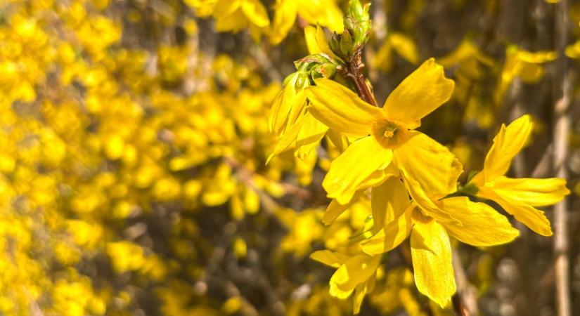 Fordulatos időjárás köszönt ránk: szerdán akár vihar is lehet