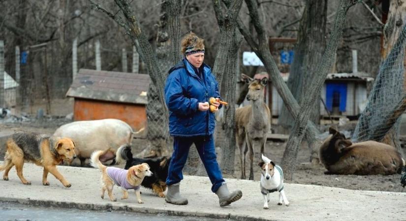 Állatokkal szeretnél foglalkozni, és jól jönne az IKSZ teljesítése is? Pont téged keresnek!