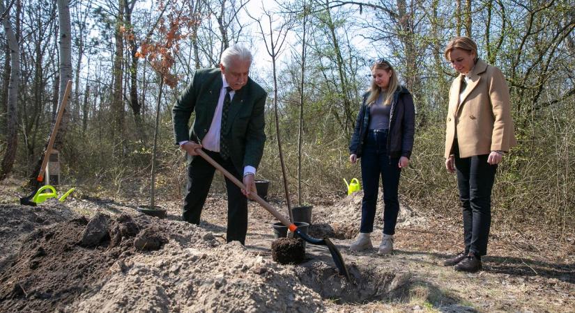 Félezer facsemetével és sétaútvonalakkal gazdagodott a kecskemétiek egyik kedvenc erdeje – fotók, videó