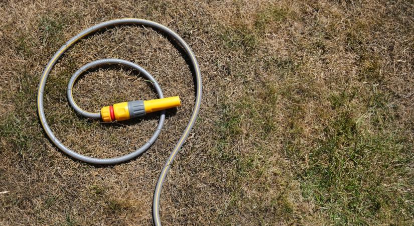 Kiderült, hol a legnagyobb a baj Magyarországon: ebben a térségben hatalmas pusztítást végzett az aszály