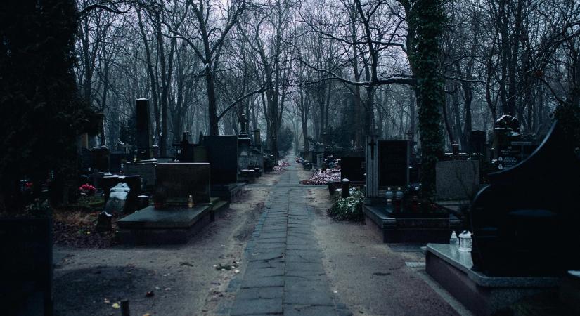 Jákli Mónika, Dudás Miki, Chuck Norris - döbbenetes veszteségek: Tőlük már elbúcsúztunk idén