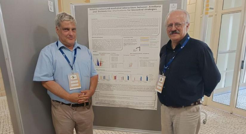 A diófákért fogtak össze az egyetemek, köztük a soproni is