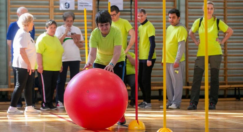 Összehozta az embereket az Oroszlán kupa, megindul a déli elkerülő építése