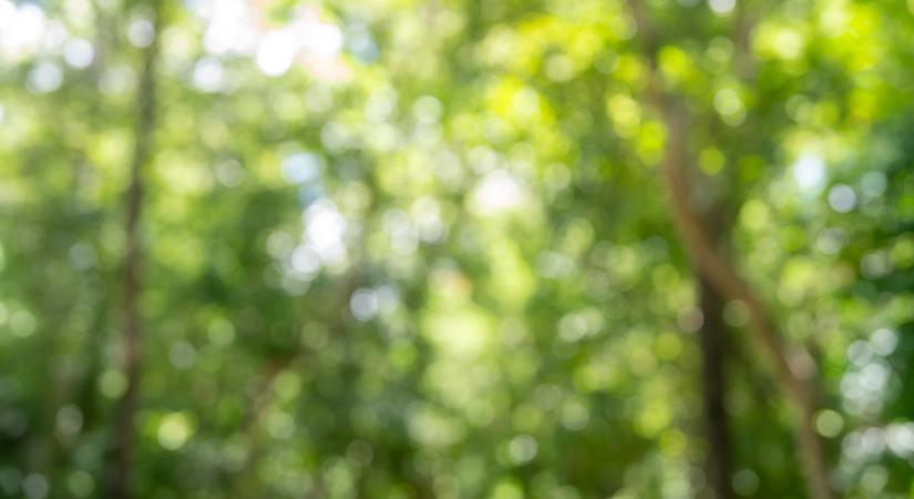 Megváltoznak a kedvenc hazai kirándulóhelyeink: nem akármi készül