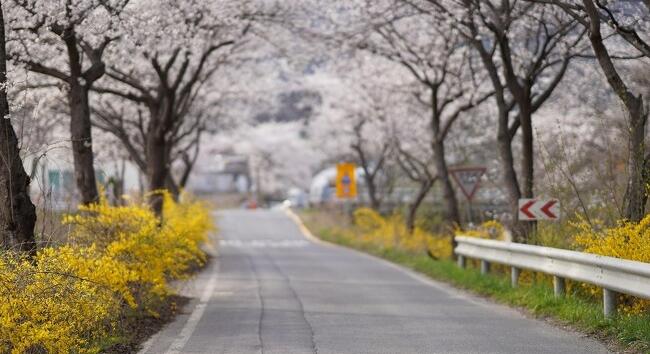 Hidegfront a küszöbön - Ilyen időjárásra készülhetünk március 25-én, szerdán