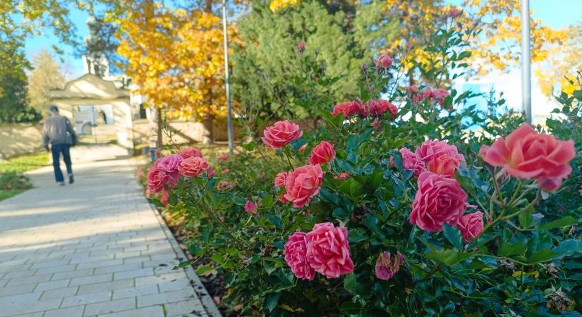 Szerdán napközben még tavaszias idő, estétől azonban visszakacsint ránk a tél Zalában