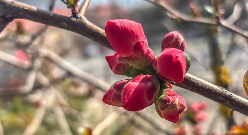 Szeles, majd borús szerda vár ránk