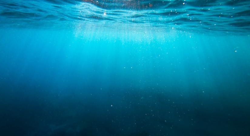 Olyan halat találtak Horvátország vizeiben, aminek semmi keresnivalója nem lenne ott