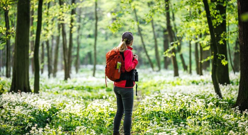 Friss szabadtéri élmények a tavaszi napokra
