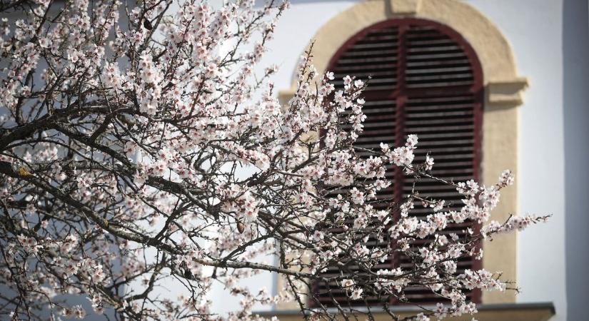 Használjuk ki ma a tavaszias időt, holnaptól hidegfront érkezik hazánkba