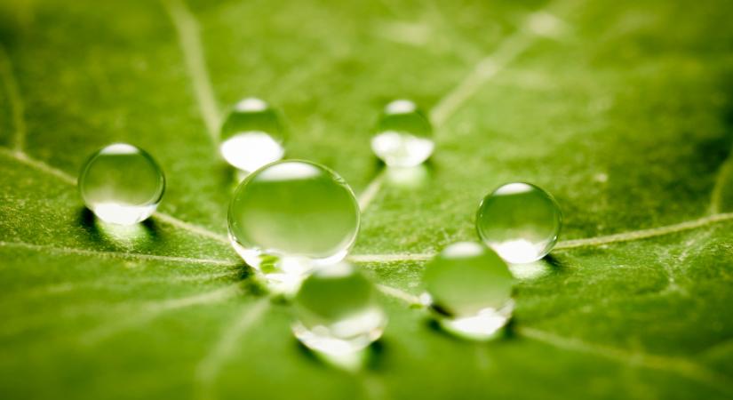 Riasztó jövő várhat a magyarokra: egyre kevesebb víz jut a lakosságnak?