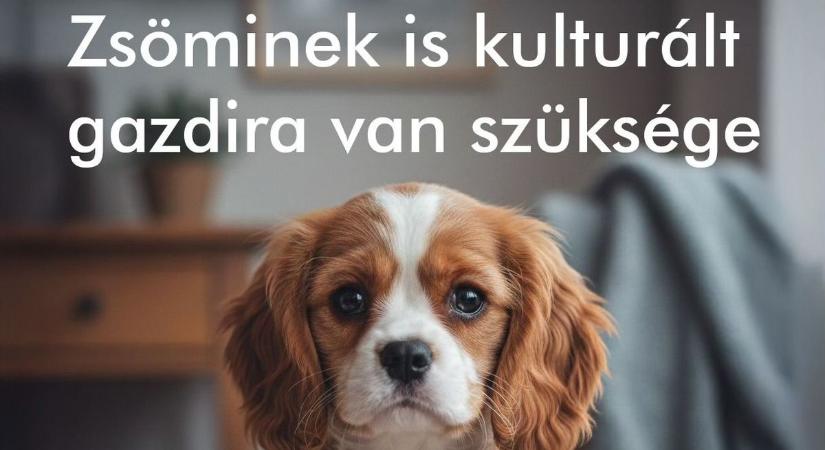 „Embert az állatoknak!” Különleges missziót vállaltak Zalában: ne csak oltass, érezz és gondolkozz is!