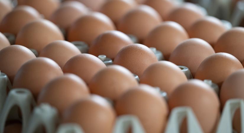 Adóellenőrök hada járja a boltokat, közeleg a húsvét