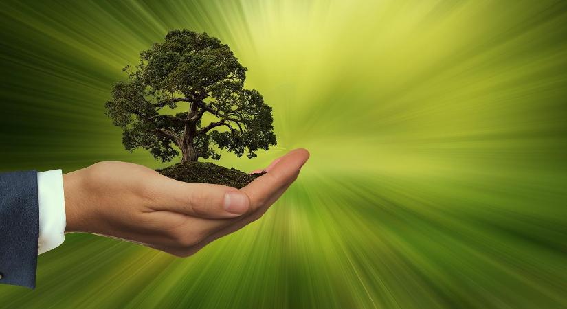 Z generáció vs. felsővezetők: a fiatalok már készek rá, a cégeknek most kell lépniük