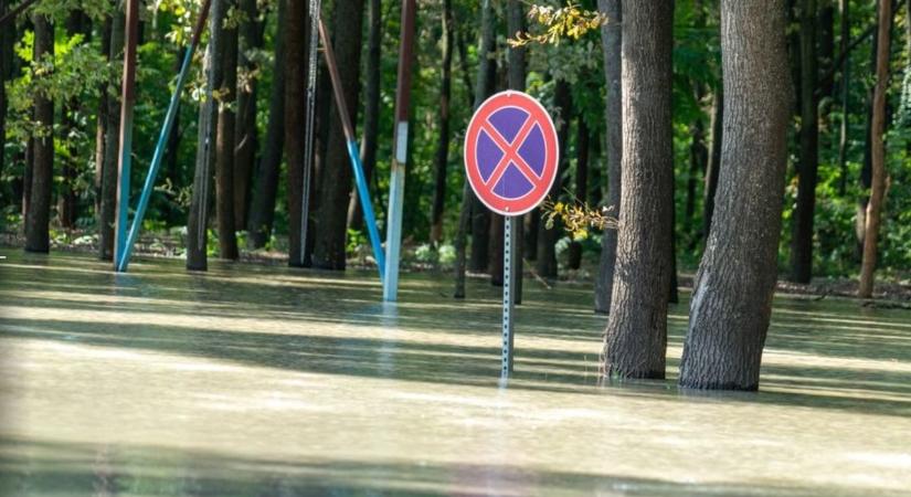 Ott lennél, ha a városnak szüksége van rád? – Velence önkénteseket vár